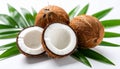 Fresh ripe coconuts with green leaves on white background Royalty Free Stock Photo