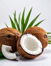 Fresh ripe coconuts with green leaves on white background Royalty Free Stock Photo