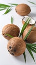 Fresh ripe coconuts with green leaves on white background Royalty Free Stock Photo