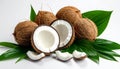 Fresh ripe coconuts with green leaves on white background Royalty Free Stock Photo