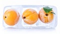 Ripe apricot fruits in an ice cube are isolated on white. Frozen food Royalty Free Stock Photo