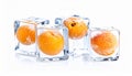 Ripe apricot fruits in an ice cube are isolated on white. Frozen food Royalty Free Stock Photo