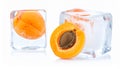Ripe apricot fruits in an ice cube are isolated on white. Frozen food Royalty Free Stock Photo