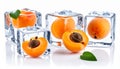 Ripe apricot fruits in an ice cube are isolated on white. Frozen food Royalty Free Stock Photo