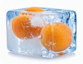 Ripe apricot fruits in an ice cube are isolated on white. Frozen food Royalty Free Stock Photo