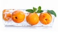 Ripe apricot fruits in an ice cube are isolated on white. Frozen food Royalty Free Stock Photo