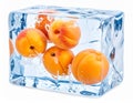 Ripe apricot fruits in an ice cube are isolated on white. Frozen food Royalty Free Stock Photo