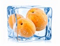 Ripe apricot fruits in an ice cube are isolated on white. Frozen food Royalty Free Stock Photo