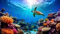 Sea Turtle Swimming Over Vibrant Tropical Coral Reef with Sun Rays. Royalty Free Stock Photo