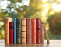 Collection of different books against blurred background, space for text Royalty Free Stock Photo