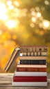 Collection of different books against blurred background, space for text Royalty Free Stock Photo