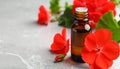 Bottle of geranium essential oil and beautiful flowers on light grey textured table Royalty Free Stock Photo