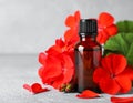 Bottle of geranium essential oil and beautiful flowers on light grey textured table Royalty Free Stock Photo