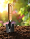 Shovel in soil outdoors, space for text. Gardening tool Royalty Free Stock Photo