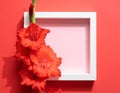 Generated image.White frame against red backdrop. Royalty Free Stock Photo