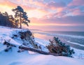 Snowy Cliffside Pines at Frozen Seashore â AI Generated Landscape Royalty Free Stock Photo