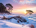 Snowy Cliffside Pines at Frozen Seashore â AI Generated Landscape Royalty Free Stock Photo
