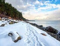Snowy Coastline with Rocks and Sea Royalty Free Stock Photo