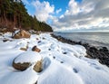 Snowy Coastline with Rocks and Sea Royalty Free Stock Photo