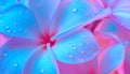 Generated image.Close-up of a flower pink and blue background. Royalty Free Stock Photo