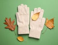 Stylish woolen gloves and dry leaves on green background, flat lay Royalty Free Stock Photo