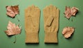 Stylish woolen gloves and dry leaves on green background, flat lay Royalty Free Stock Photo