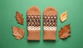 Stylish woolen gloves and dry leaves on green background, flat lay Royalty Free Stock Photo