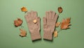 Stylish woolen gloves and dry leaves on green background, flat lay Royalty Free Stock Photo