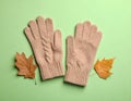 Stylish woolen gloves and dry leaves on green background, flat lay Royalty Free Stock Photo