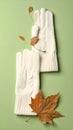 Stylish woolen gloves and dry leaves on green background, flat lay Royalty Free Stock Photo