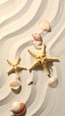 Starfishes and seashells on beach sand with wave pattern, flat lay. Space for text Royalty Free Stock Photo
