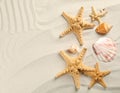 Starfishes and seashells on beach sand with wave pattern, flat lay. Space for text Royalty Free Stock Photo