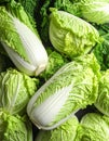 Fresh ripe Chinese cabbages as background, top view Royalty Free Stock Photo