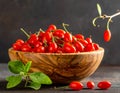 Ripe Goji Berries Hanging on Branch Royalty Free Stock Photo