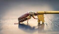 May-beetle located on the key in a floor a profile Royalty Free Stock Photo