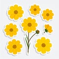 Collection of Yellow Cosmos Flowers: Stickers and Stem Royalty Free Stock Photo