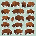 Cartoon Bison and Buffalo Sticker Pattern Royalty Free Stock Photo