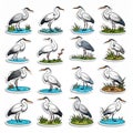 Collection of Hand-Drawn Herons in Various Poses Royalty Free Stock Photo