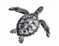 Detailed Monochrome Illustration of a Sea Turtle Royalty Free Stock Photo