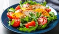 Fresh salad features arugula (Eruca vesicaria) as the base, topped with grilled chicken slices Royalty Free Stock Photo