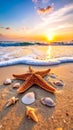 Wave rolling onto sandy beach with beautiful sea star and shells at sunset Royalty Free Stock Photo
