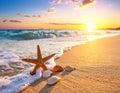 Wave rolling onto sandy beach with beautiful sea star and shells at sunset Royalty Free Stock Photo