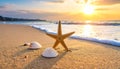 Wave rolling onto sandy beach with beautiful sea star and shells at sunset Royalty Free Stock Photo