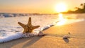 Wave rolling onto sandy beach with beautiful sea star and shells at sunset Royalty Free Stock Photo