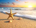 Wave rolling onto sandy beach with beautiful sea star and shells at sunset Royalty Free Stock Photo