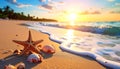 Wave rolling onto sandy beach with beautiful sea star and shells at sunset Royalty Free Stock Photo
