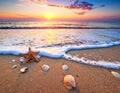 Wave rolling onto sandy beach with beautiful sea star and shells at sunset Royalty Free Stock Photo