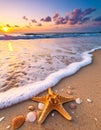 Wave rolling onto sandy beach with beautiful sea star and shells at sunset Royalty Free Stock Photo