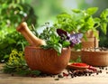 Different aromatic herbs, mortar with pestle and spices on wooden table, closeup Royalty Free Stock Photo