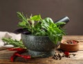 Different aromatic herbs, mortar with pestle and spices on wooden table, closeup Royalty Free Stock Photo
